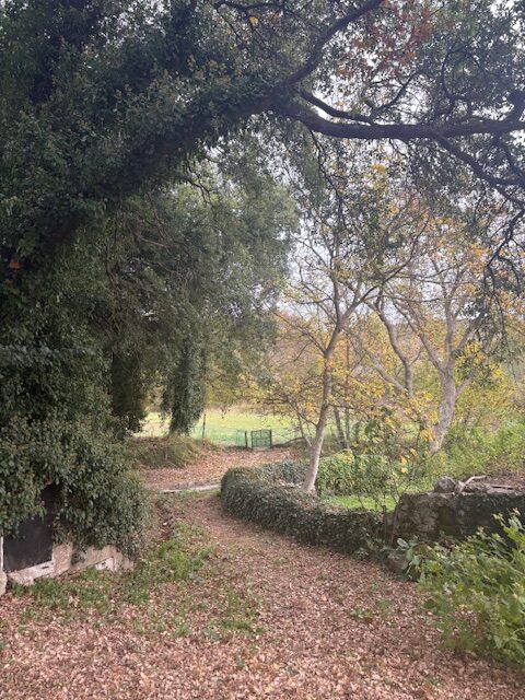 03_bocos fuentecilla