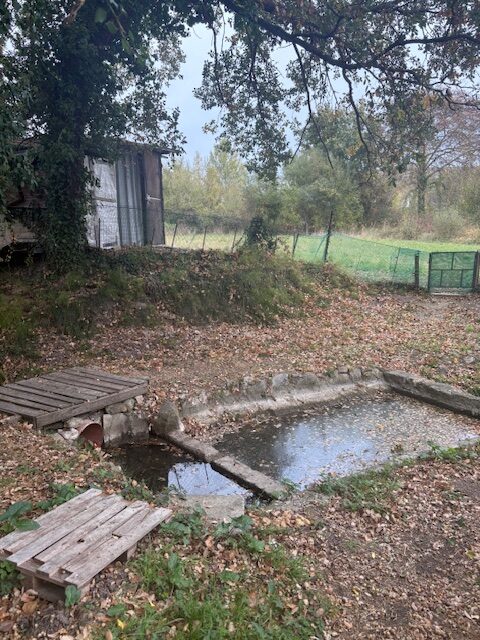 03_bocos fuentecilla_01