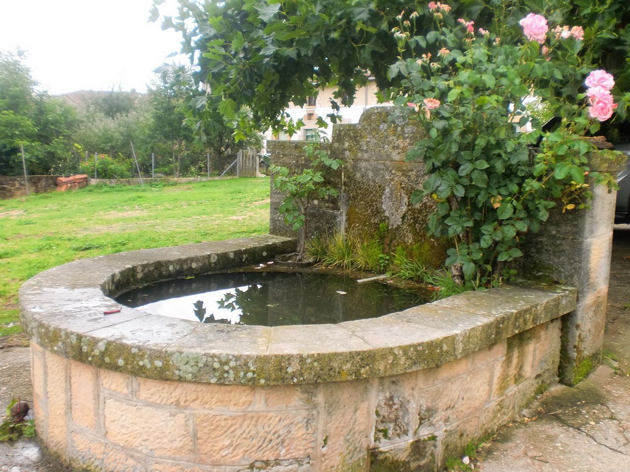 fuente