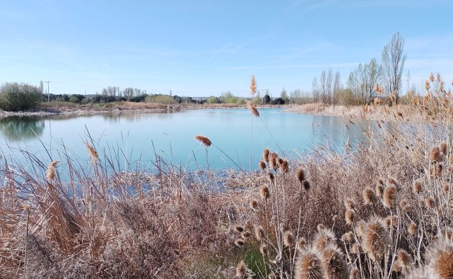 20260804 Villalba lagunas 3